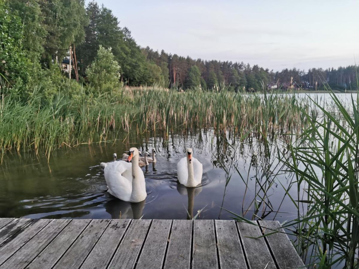Sosnowy Azyl Villa Waglikowice Bagian luar foto