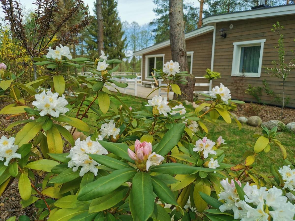 Sosnowy Azyl Villa Waglikowice Bagian luar foto