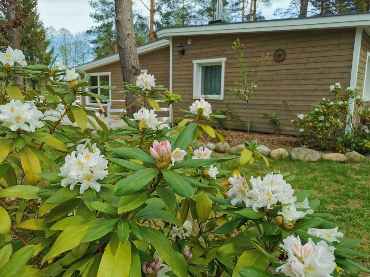 Sosnowy Azyl Villa Waglikowice Bagian luar foto