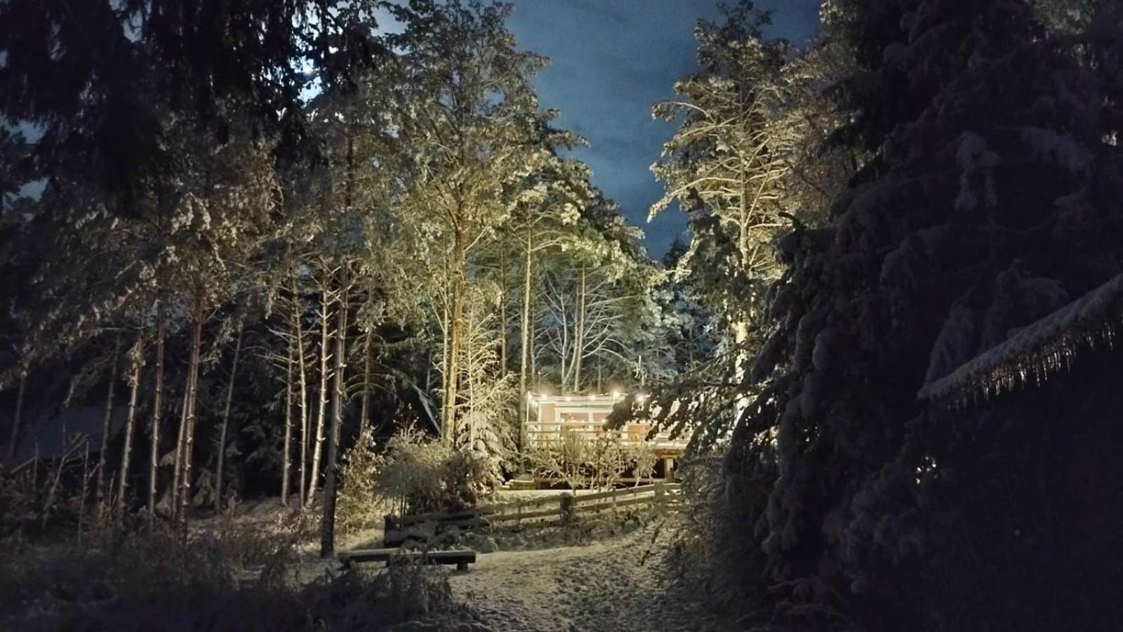 Sosnowy Azyl Villa Waglikowice Bagian luar foto